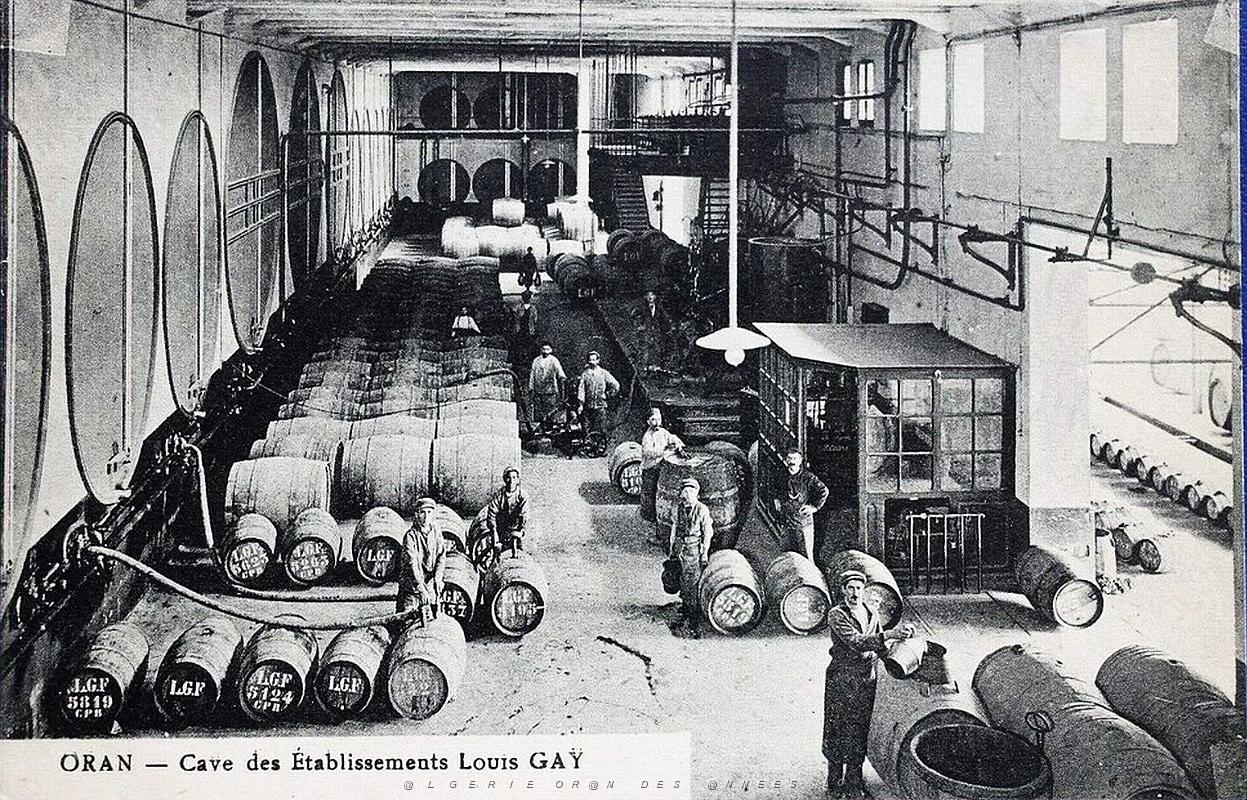 Oran - Gambetta - Caves Vins Gay.jpg